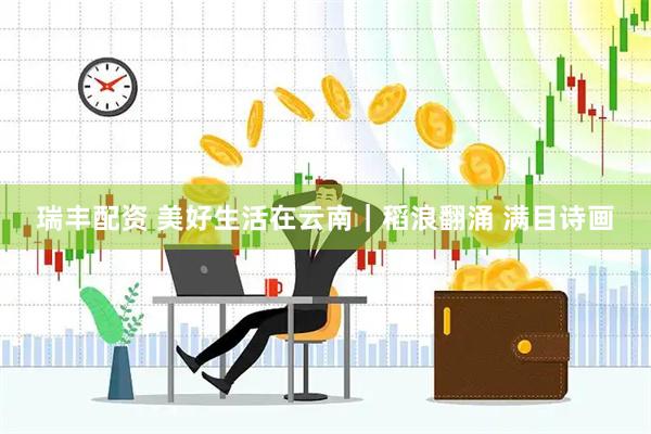 瑞丰配资 美好生活在云南｜稻浪翻涌 满目诗画