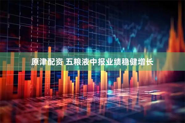 原津配资 五粮液中报业绩稳健增长