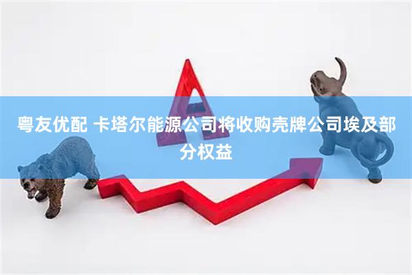 粤友优配 卡塔尔能源公司将收购壳牌公司埃及部分权益