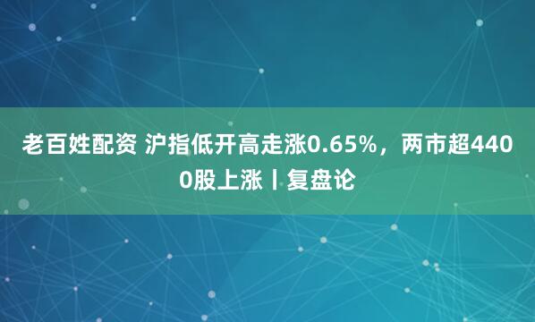 老百姓配资 沪指低开高走涨0.65%，两市超4400股上涨丨复盘论