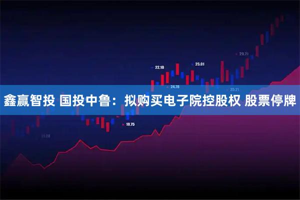 鑫赢智投 国投中鲁：拟购买电子院控股权 股票停牌