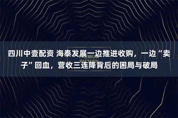 四川中壹配资 海泰发展一边推进收购，一边“卖子”回血，营收三连降背后的困局与破局