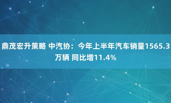 鼎茂宏升策略 中汽协：今年上半年汽车销量1565.3万辆 同比增11.4%