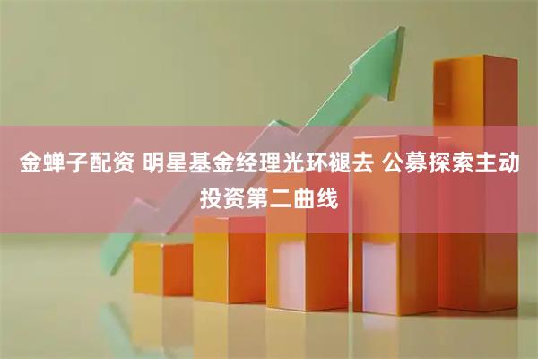 金蝉子配资 明星基金经理光环褪去 公募探索主动投资第二曲线