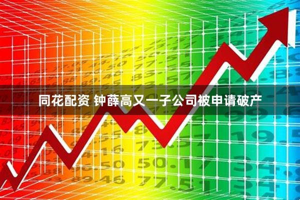同花配资 钟薛高又一子公司被申请破产